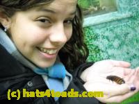 /home//u458753944/public_html/sourcegallery//Insects and small critters/roaches (Blattodea)/DSCN1934.JPG